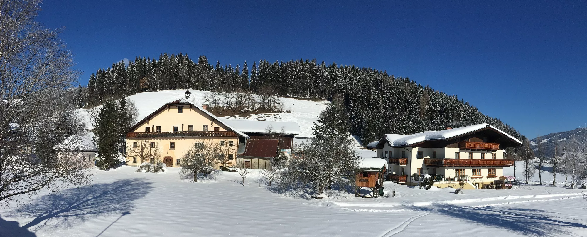 hof-winter